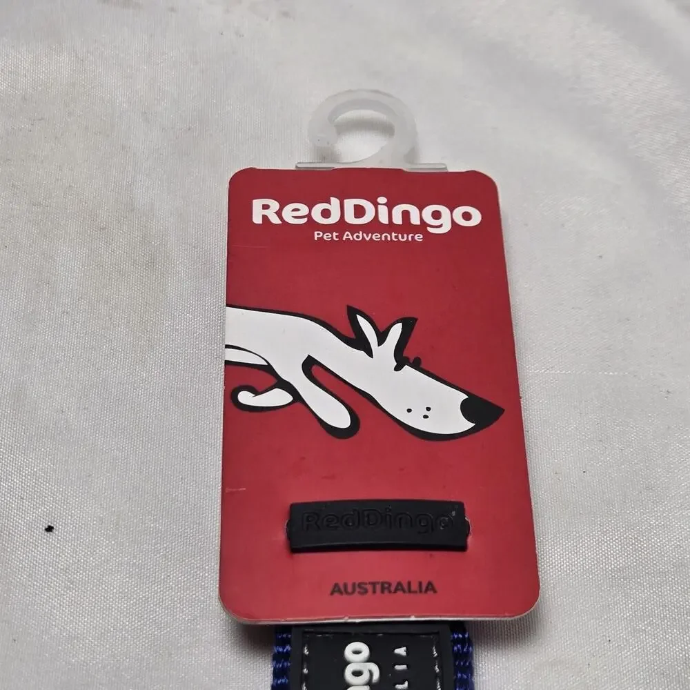 Red Dingo Dog Collar 25mm Blue